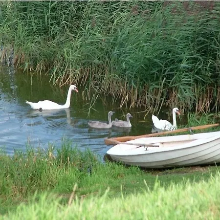 Nad Jeziorem Na Mazurach Z Kominkiem, Mazury, Lesny Zakatek